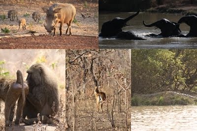 [1395256637_194.jpg]