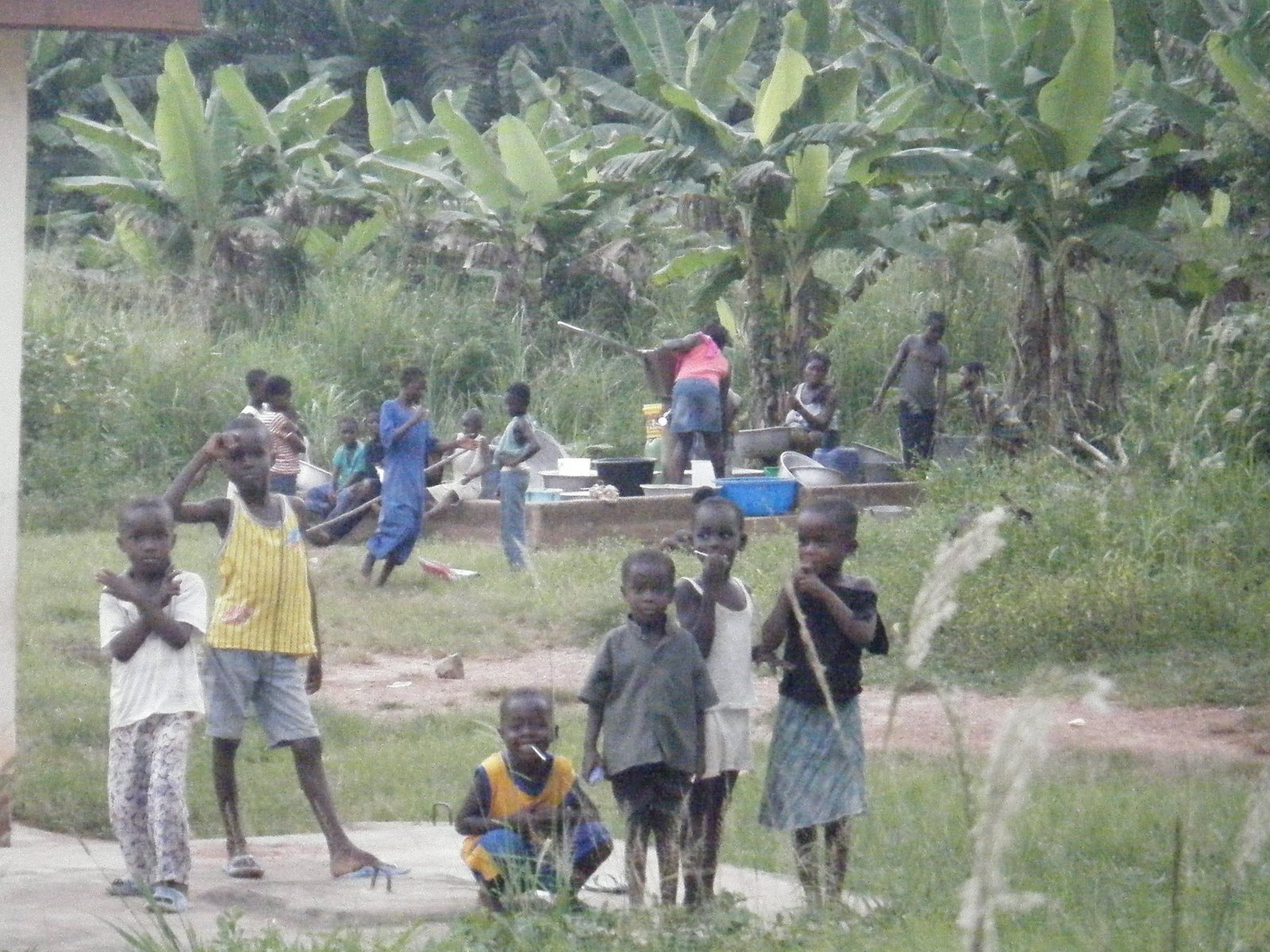 [081031neibours.JPG]