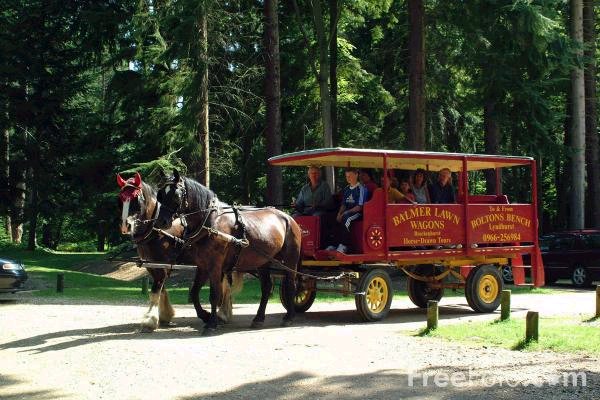 [wagonride.bmp]