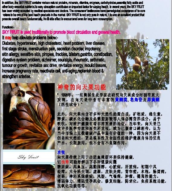 Uncle Herbs Station The Benefits of Skyfruit