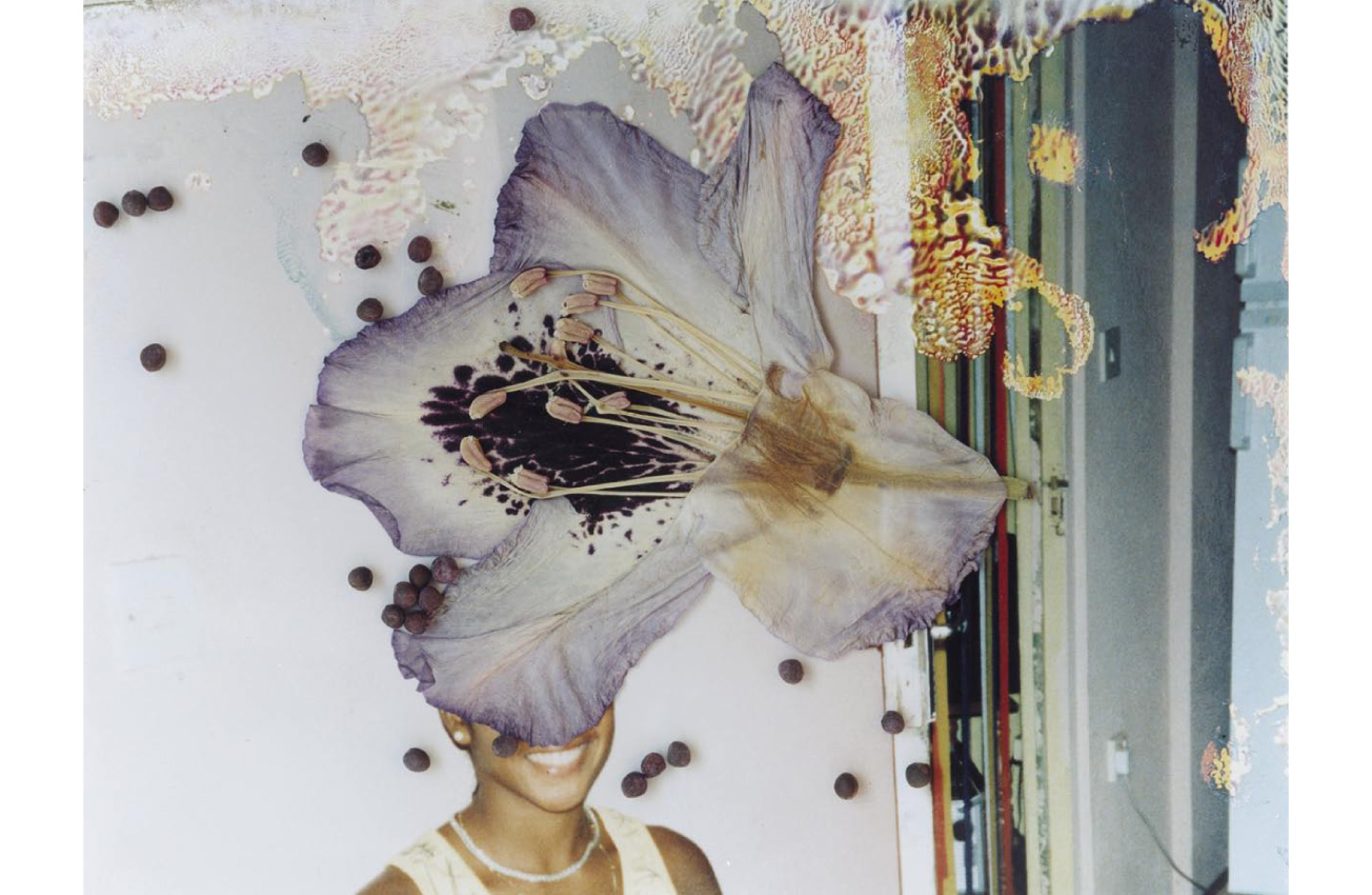 Daniel Sannwald all flowers in time bend towards the sun