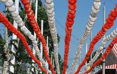 [farolillosferia.png]