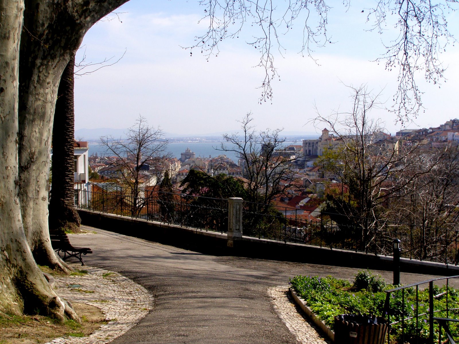 [P3140060-1.JPG]