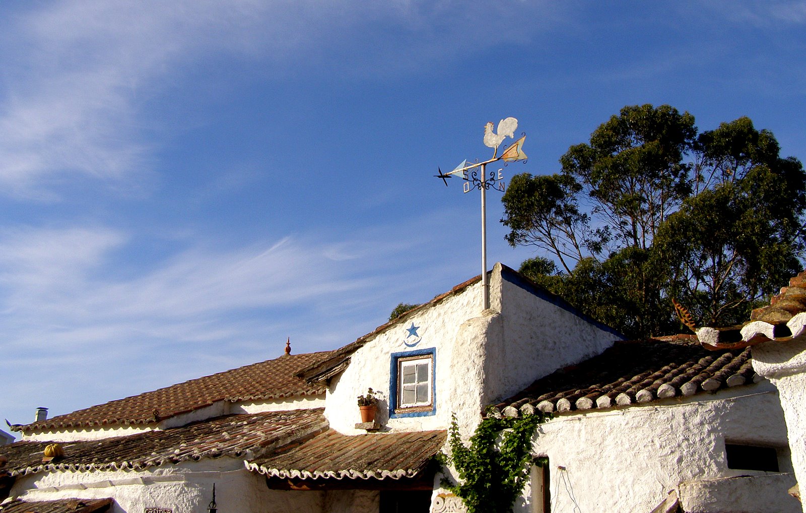 [P4050013.JPG]