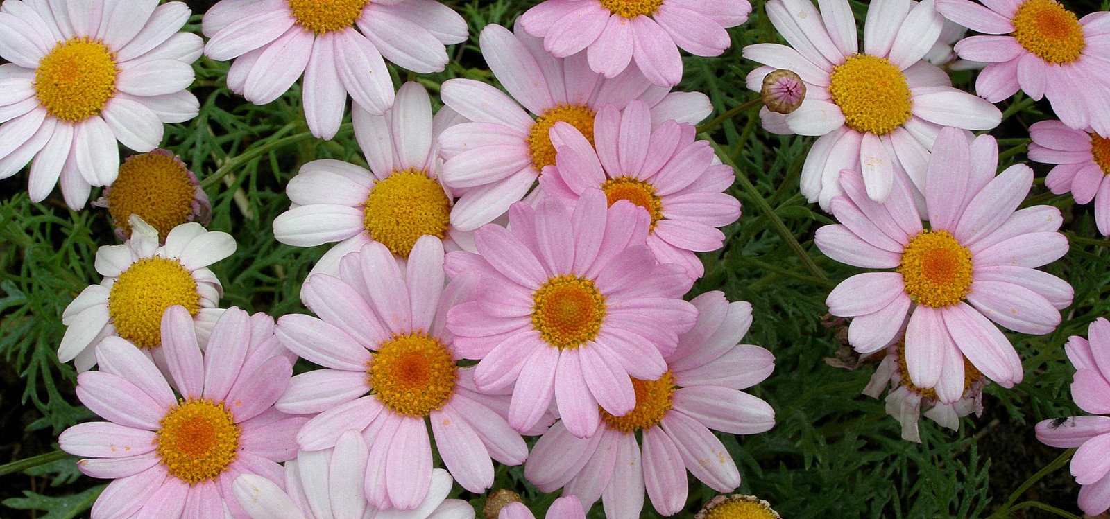 [P4120036.JPG]