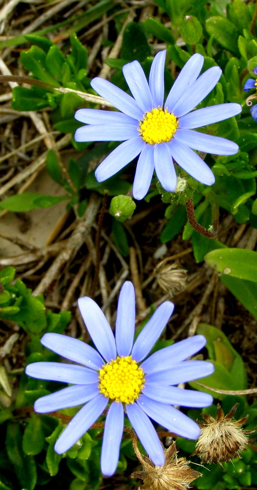 [P5250034.JPG]