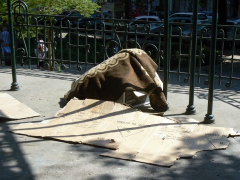 [Pr-J-Fontana-coreto.JPG]
