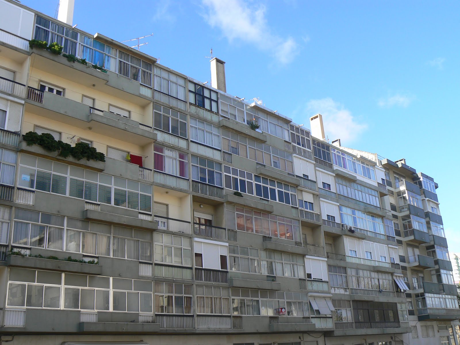 [marquises-r.faria.vasconcelos+(2).JPG]