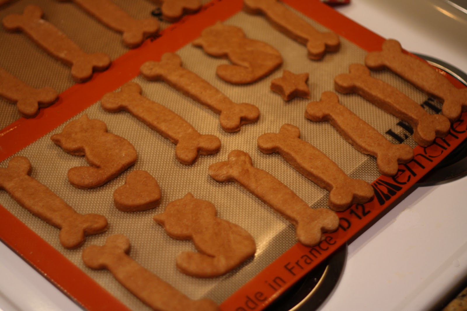 Keeping My Cents ¢¢¢ Personalized Dog Bone Biscuits