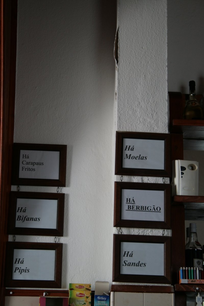 [IMG_5108a.jpg]