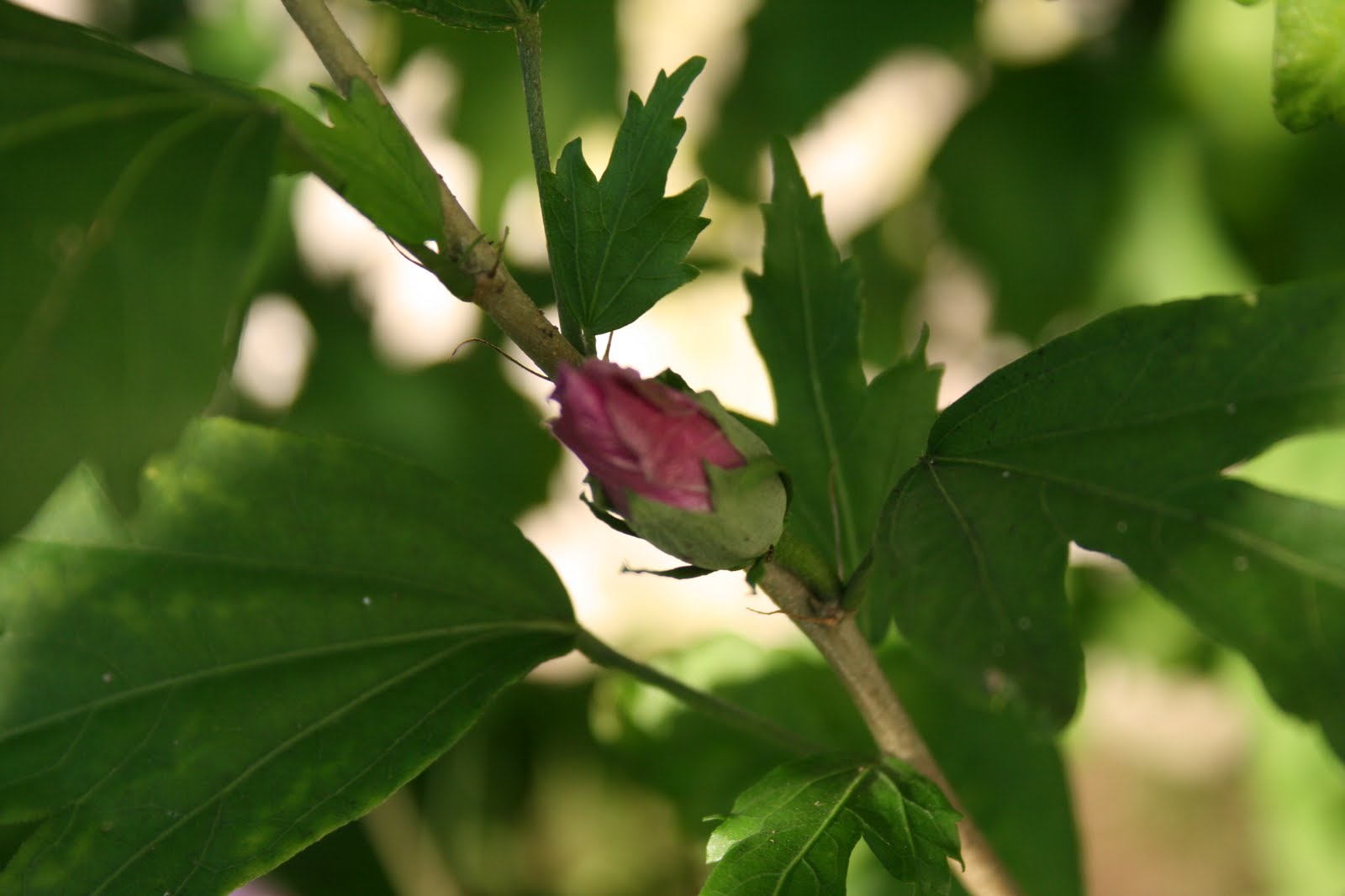 [IMG_8805.JPG]