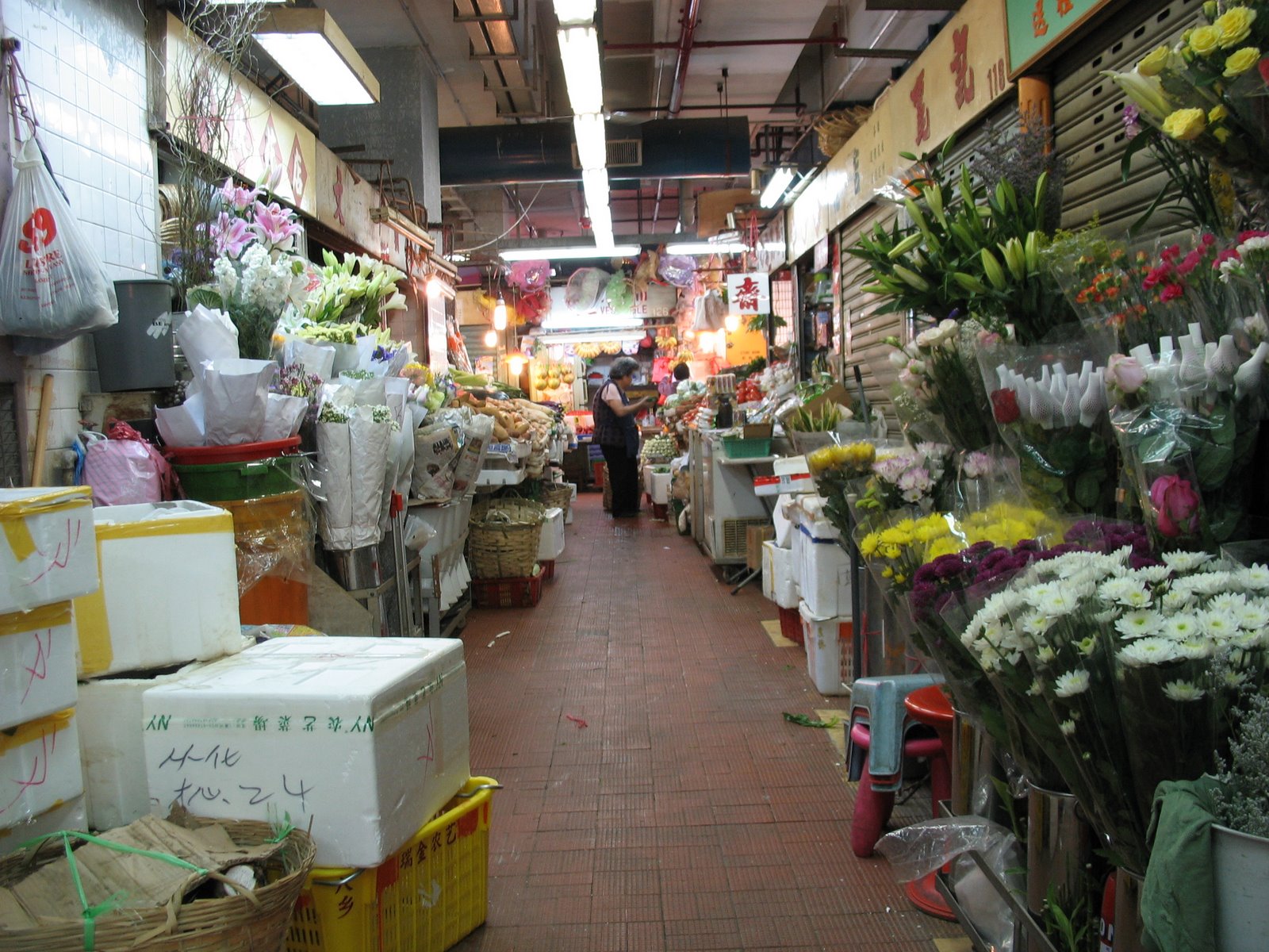 [chungking1.JPG]
