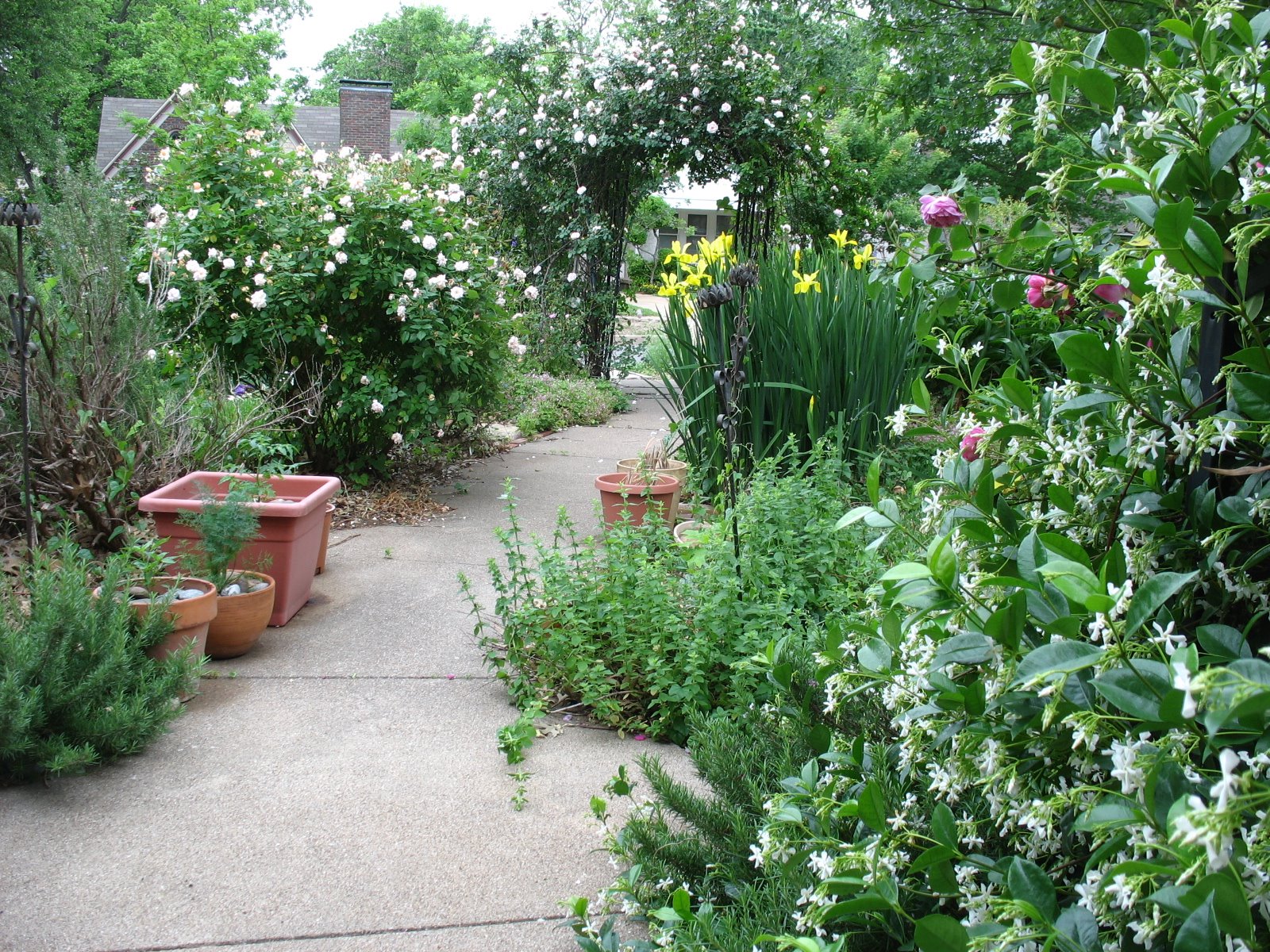 [2009+garden+4.2.JPG]