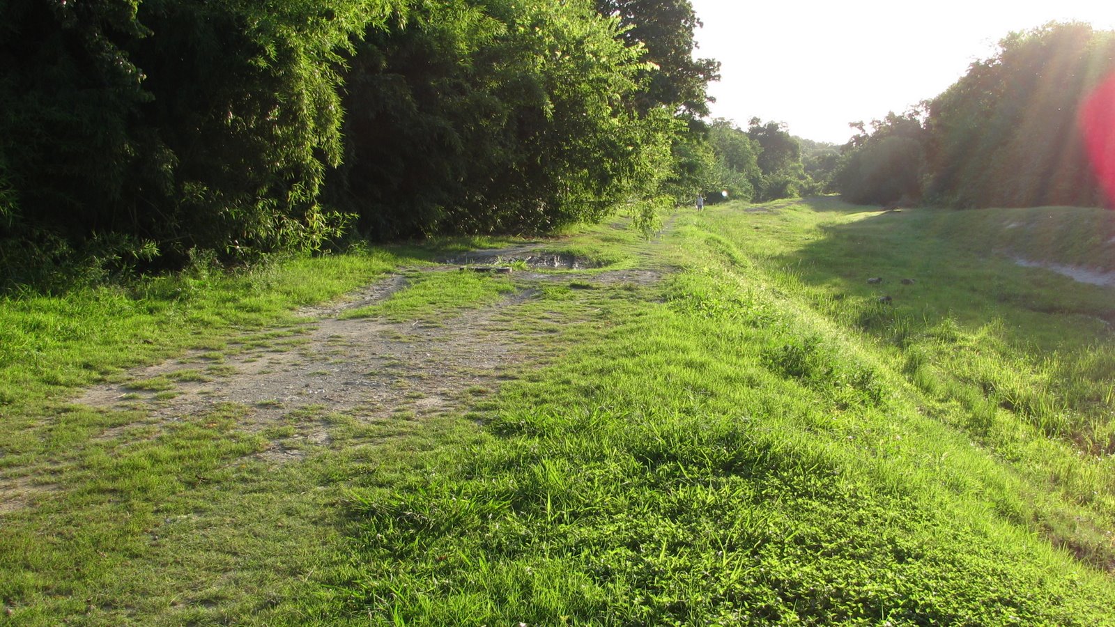 [2009+walk+rr+track1.JPG]