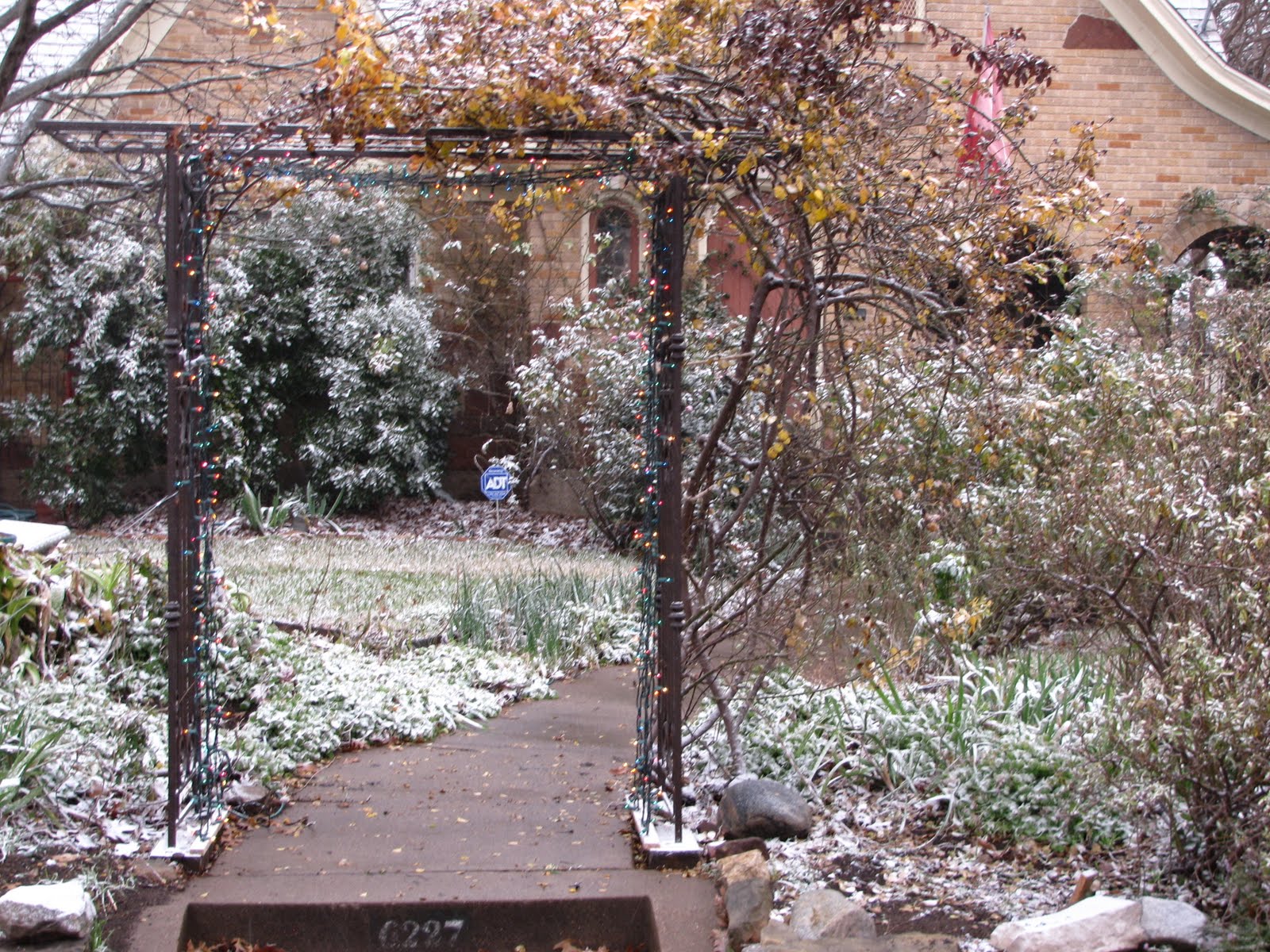 [Christmas+morning+2009.JPG]