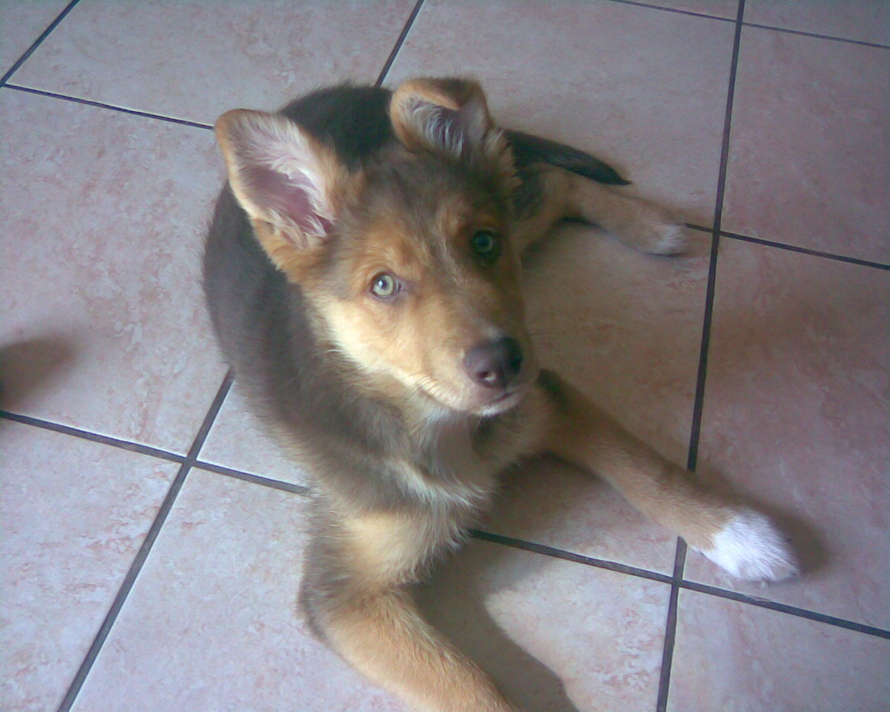 [Sasha3+4+apr+09.jpg]