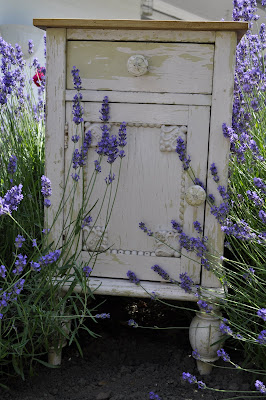 Dreams Come True: Step by step...