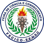 Fecico 2009