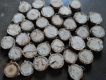 PREPARATIVOS PARA O FESTIVAL