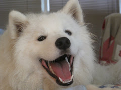 Pearl (age 10 months)