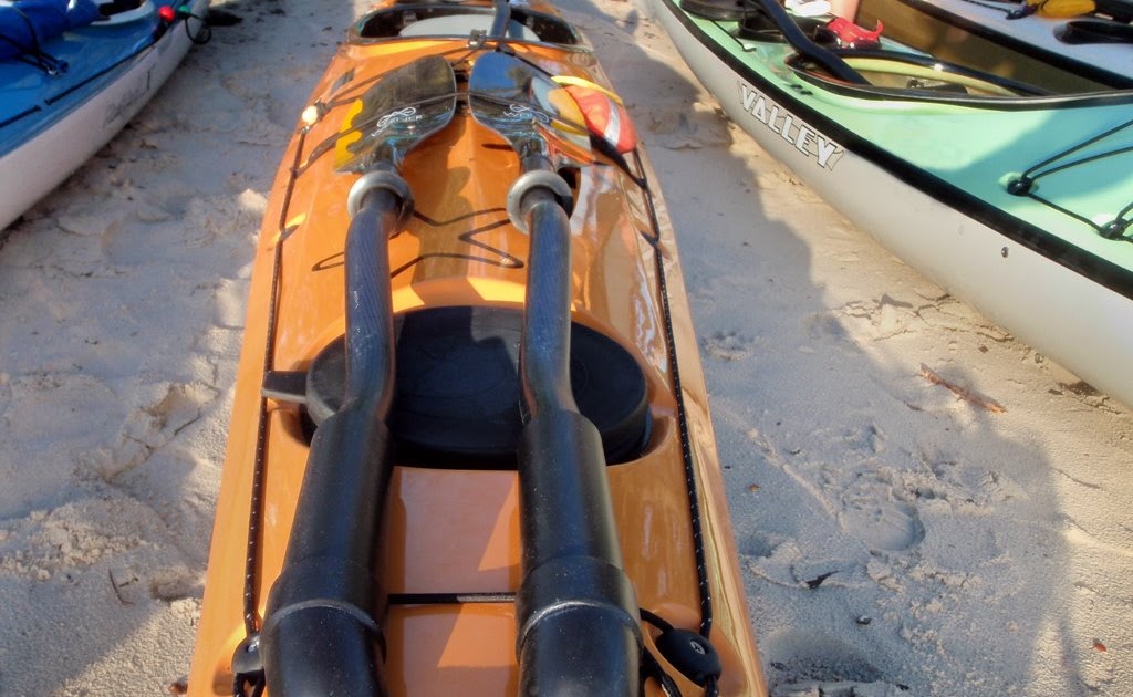 Gnarlydog News SHOP sea kayak paddle park