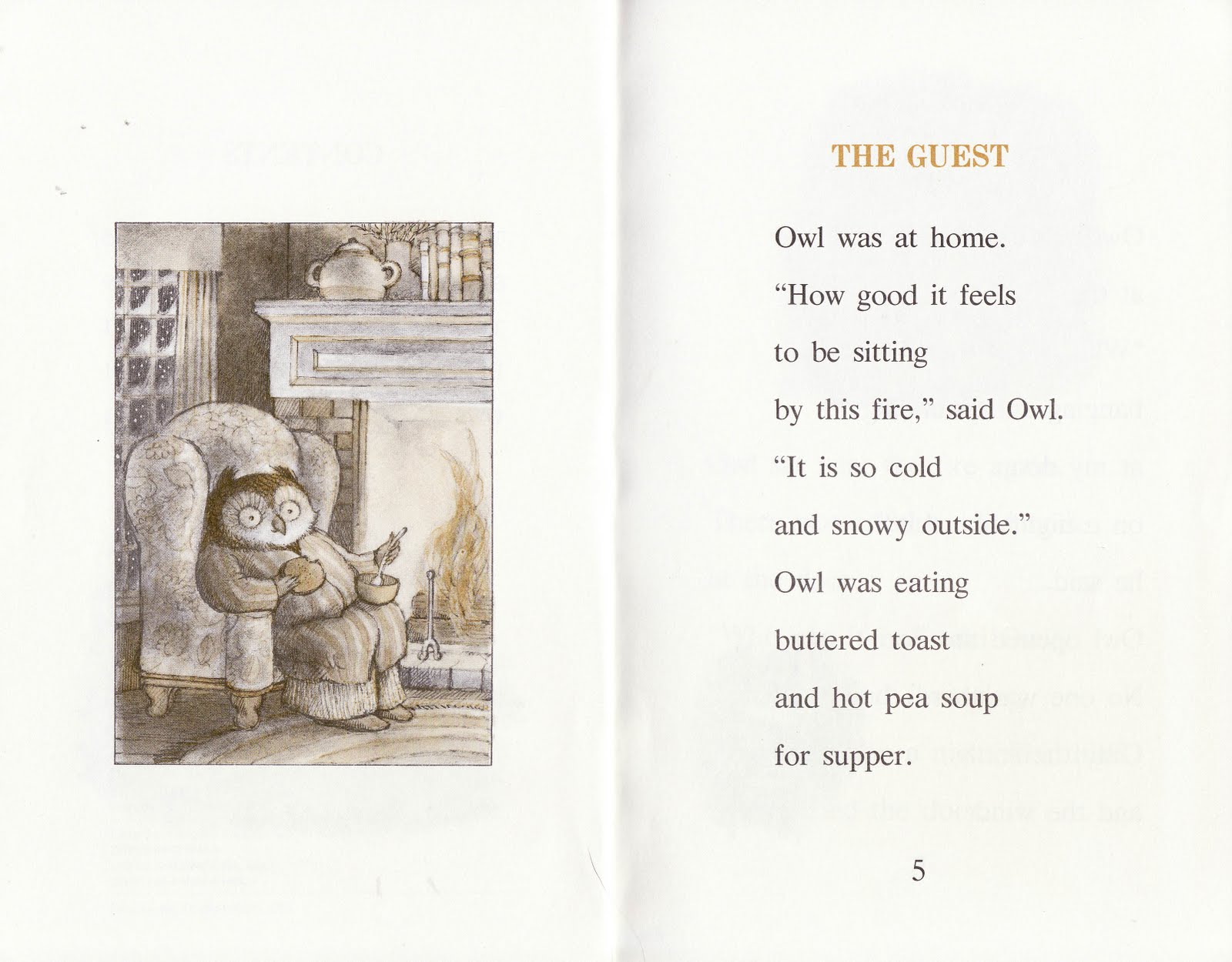 the marlowe bookshelf Owl at Home