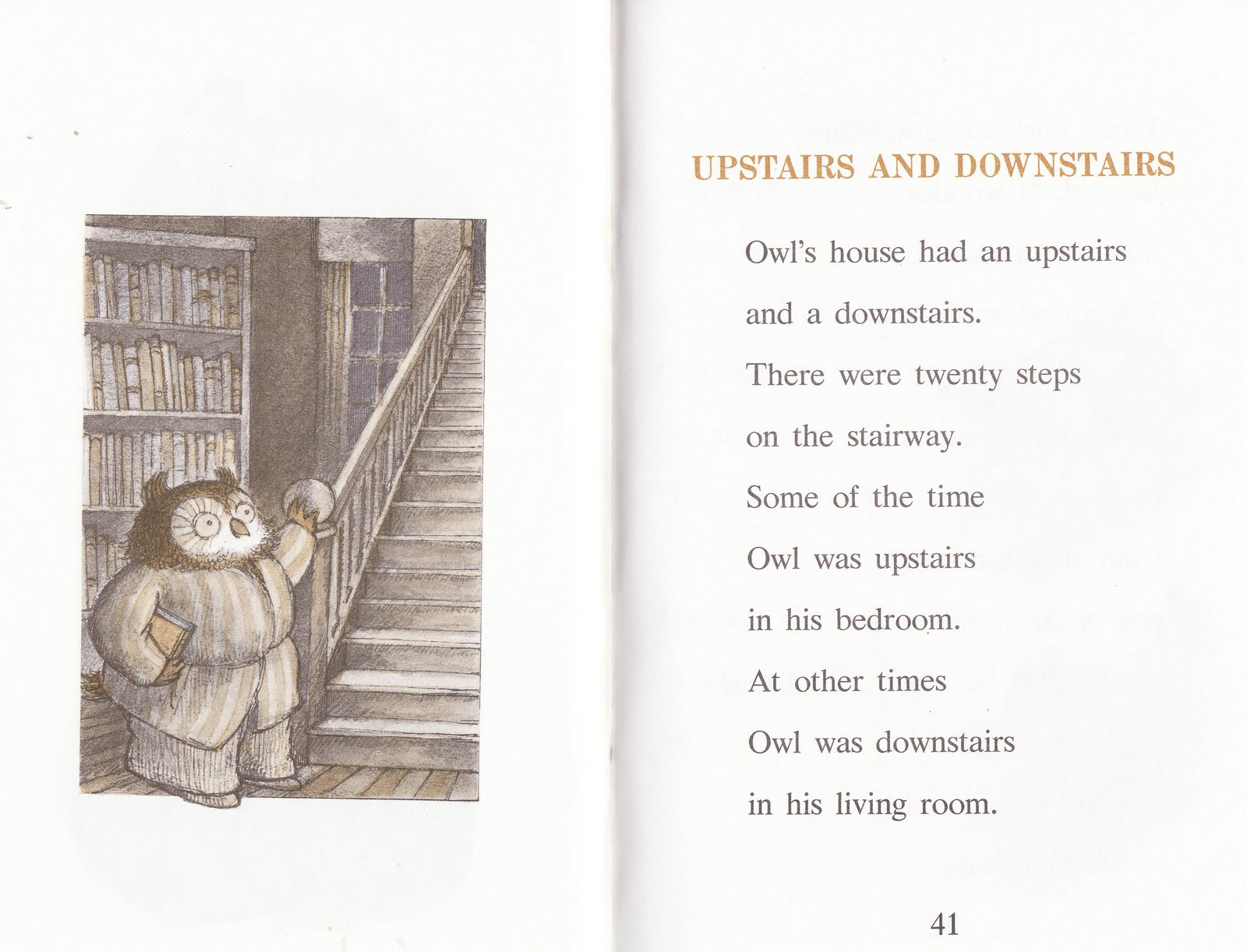 the marlowe bookshelf Owl at Home