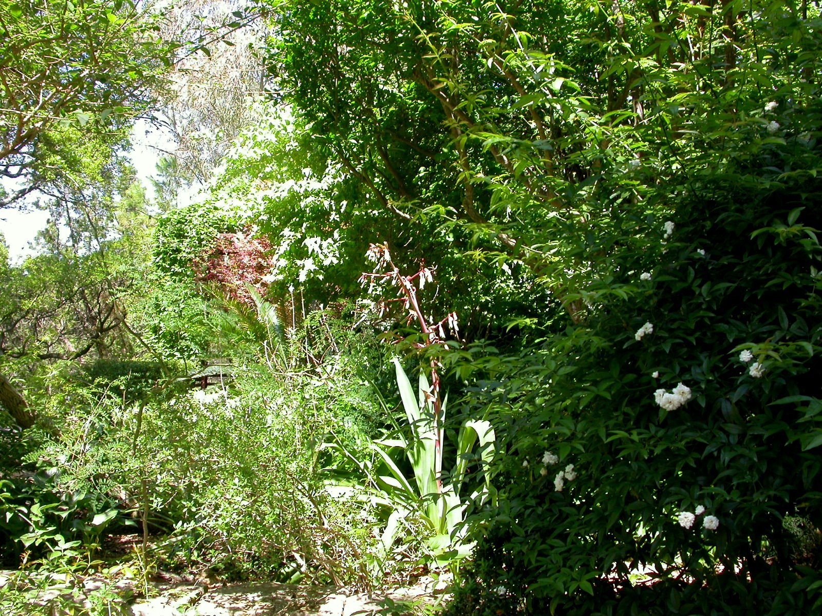 [DSCN0185-1.JPG]