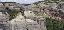 Parque Nacional da Serra da Capivara