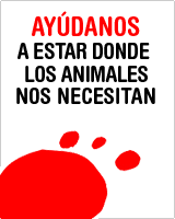 AYÚDANOS