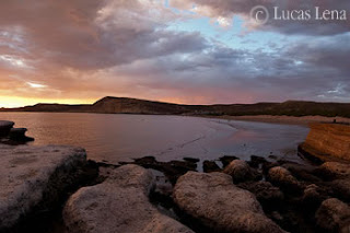 Fotógrafo de Aventura y Naturaleza: Lucas Lena Restingas de Puerto Pirámides