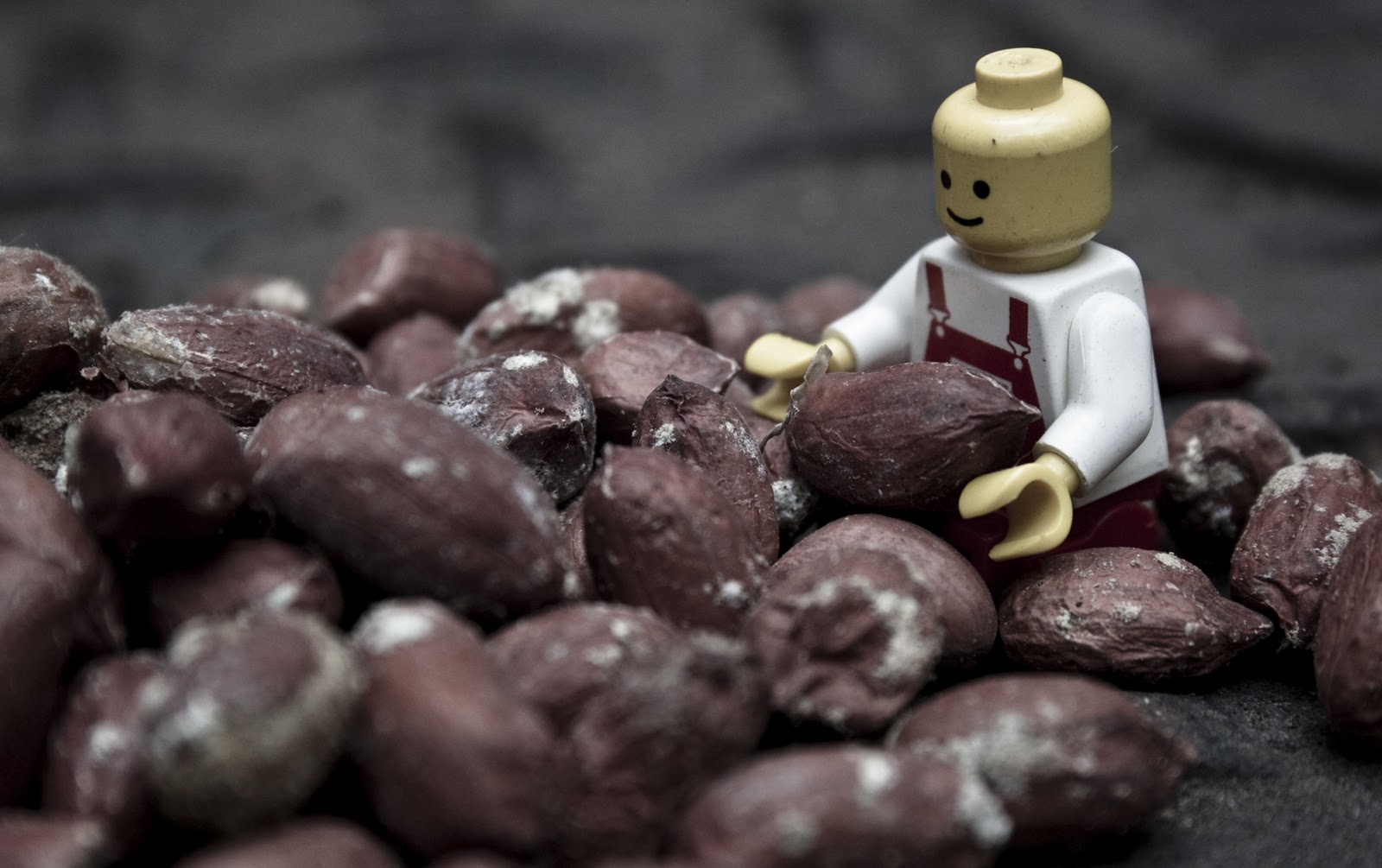 lego still life