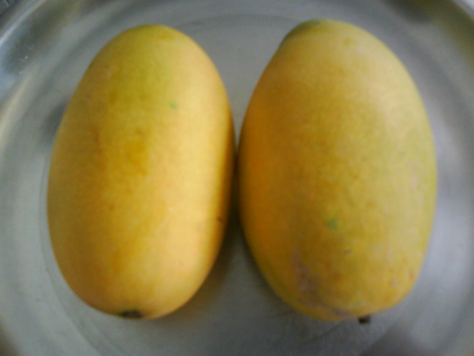Nature's Tropical Summer Gift Mangoes Do Cause Boils? « Use Homeopathy