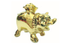 Lucky Golden Money Pig