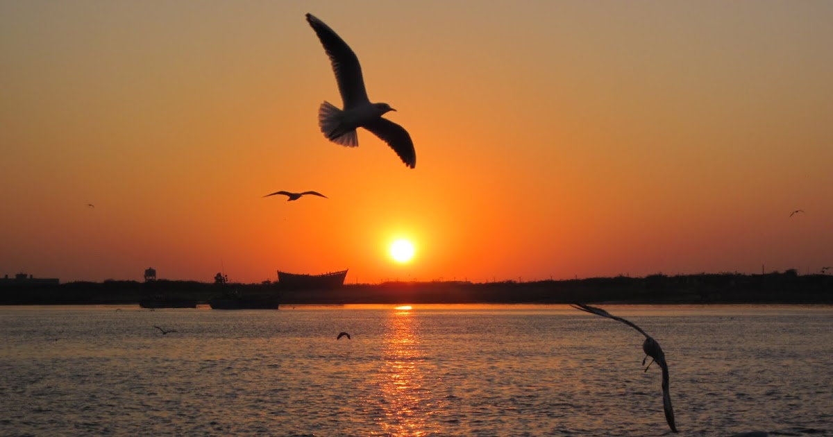 Managing Life The Child Way