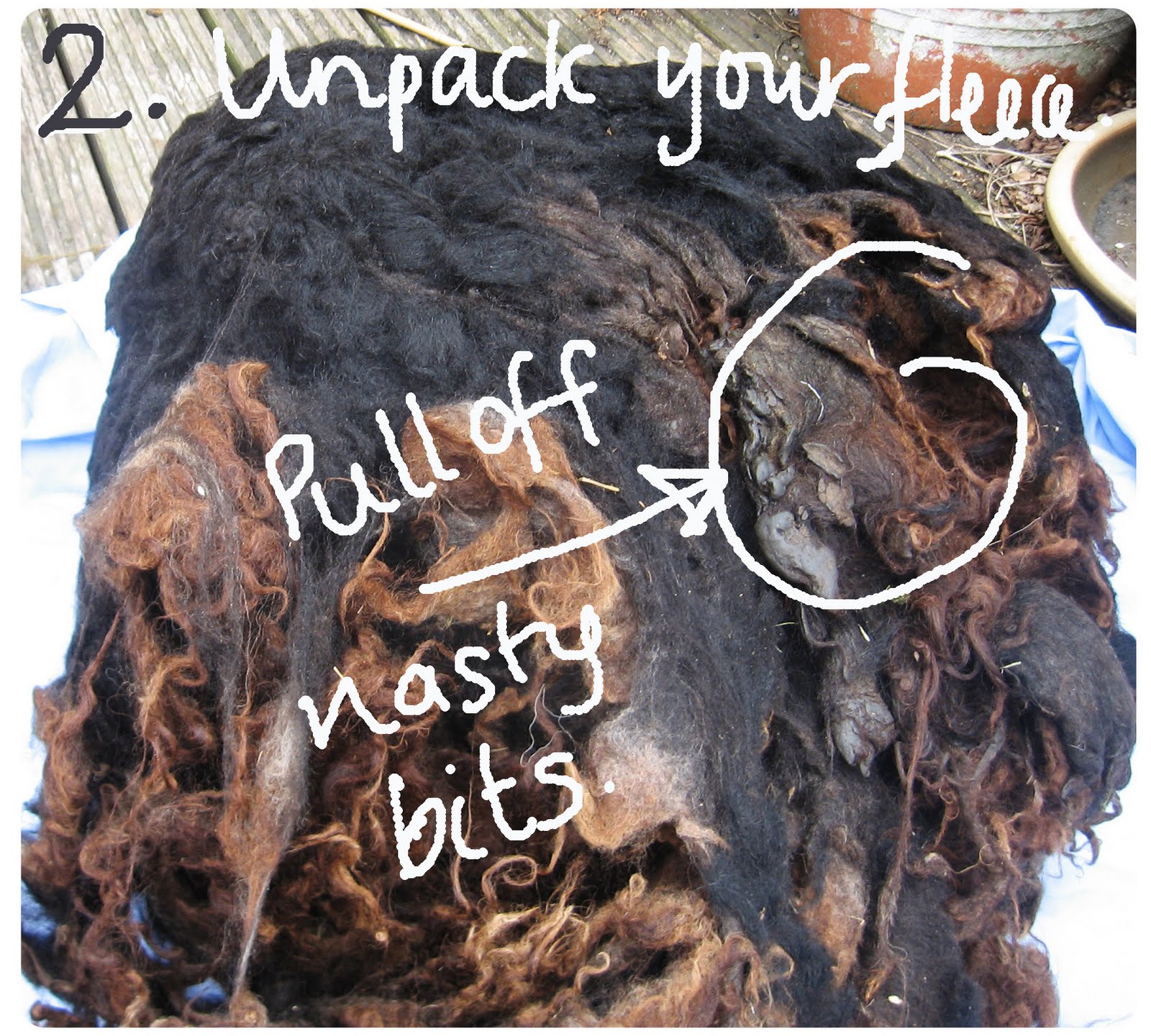 Circles Of Rain How to Wash a Sheep's Fleece