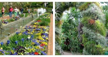 A Charlotte Garden: carolina public gardens