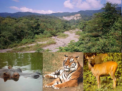 Manas Sanctuary