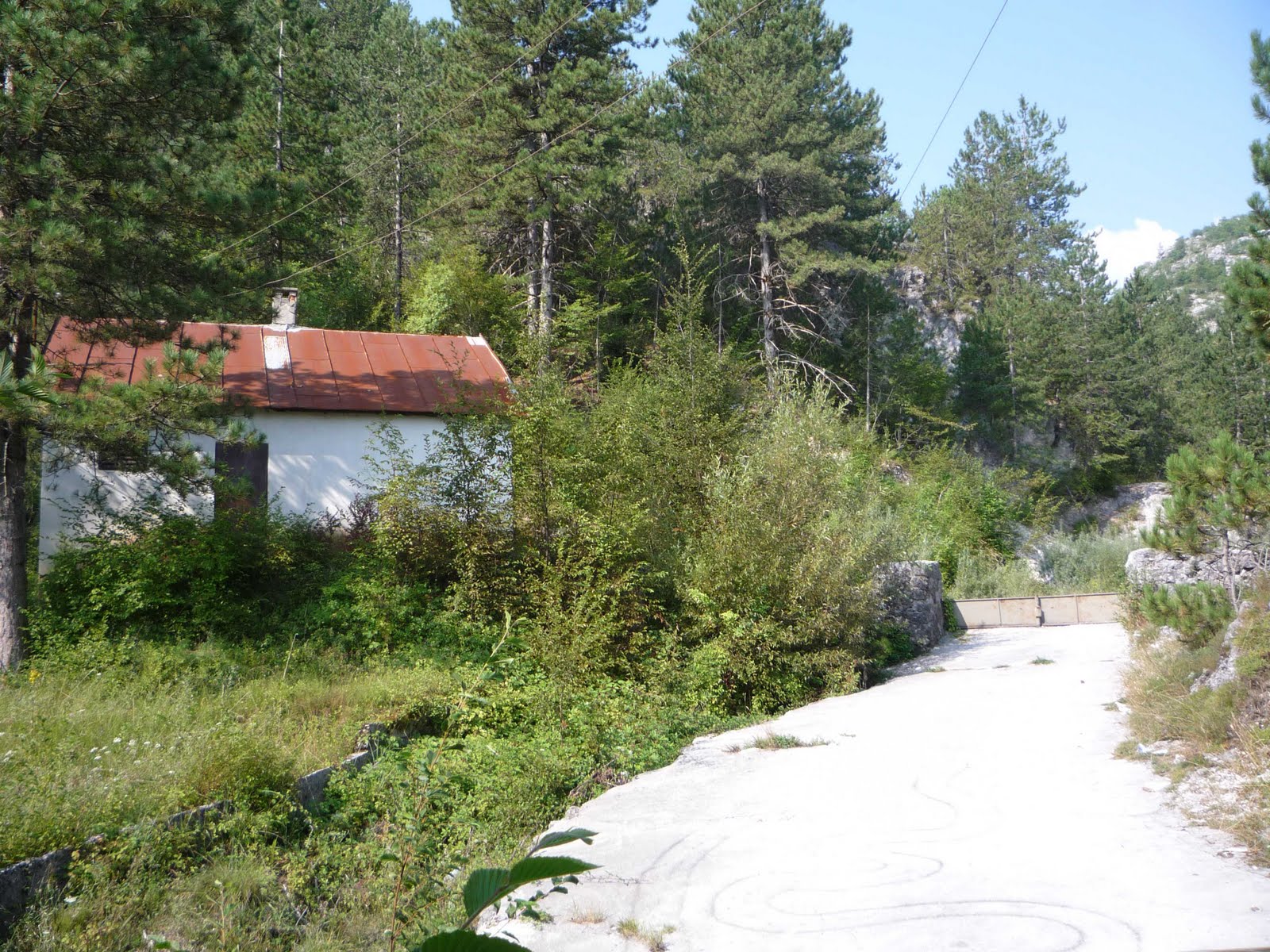 [Prilaz+Boroviku.jpg]