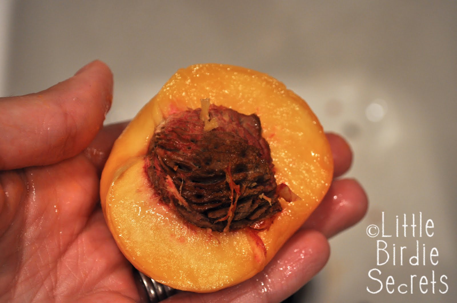 how to can peaches Little Birdie Secrets