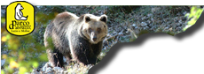ed il Parco Nazionale d'Abruzzo