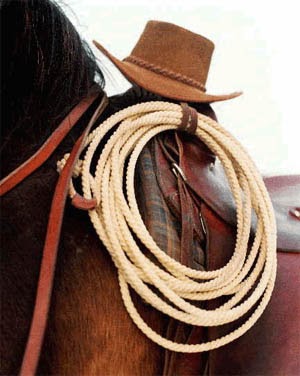 Adventures of a Suburban Cowgirl: All Tied Up