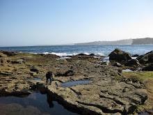 Bondi Rocks