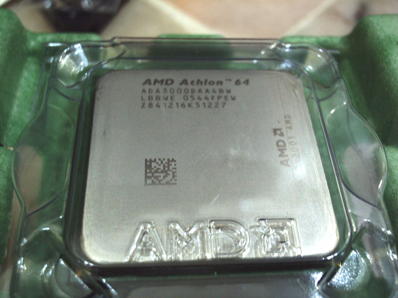 [amd1.JPG]