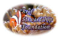 conceptualize the Reef