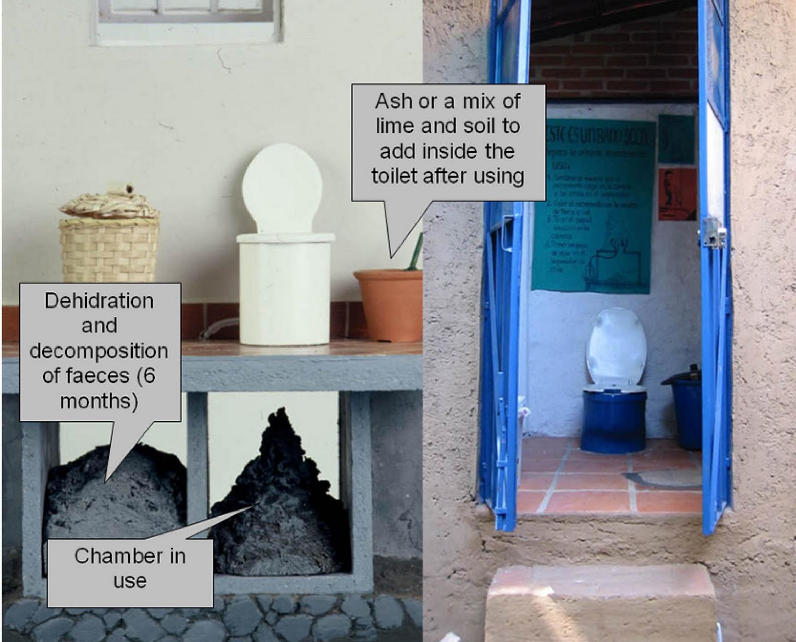 Cities and Permaculture