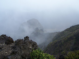Glimpse into the Crater
