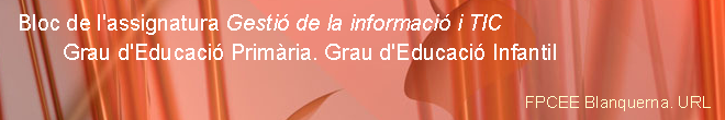 Gestió de la Informació  i TIC