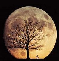[Luna+y+árbol.jpg]