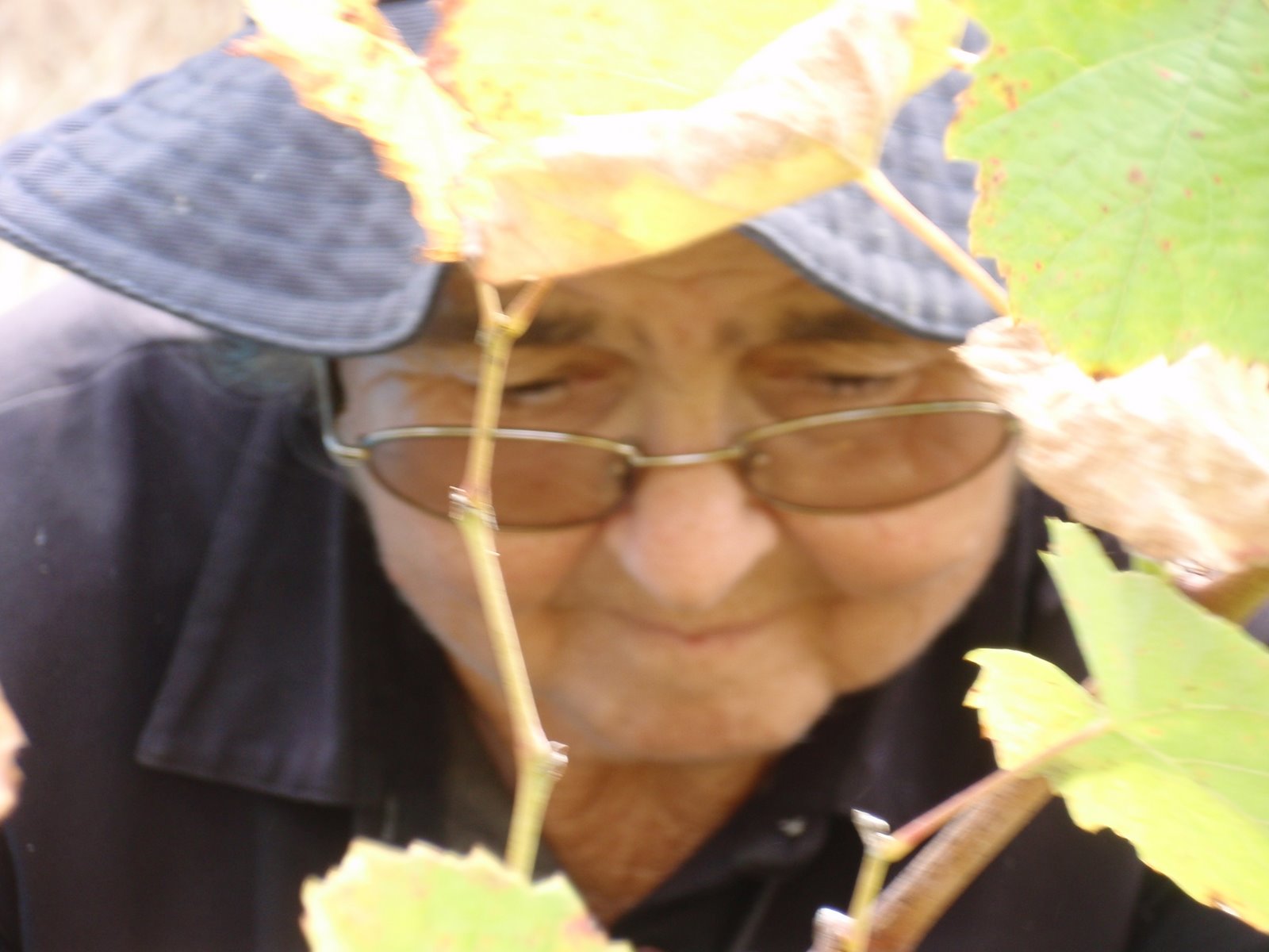 [vindimamouraz+039.JPG]